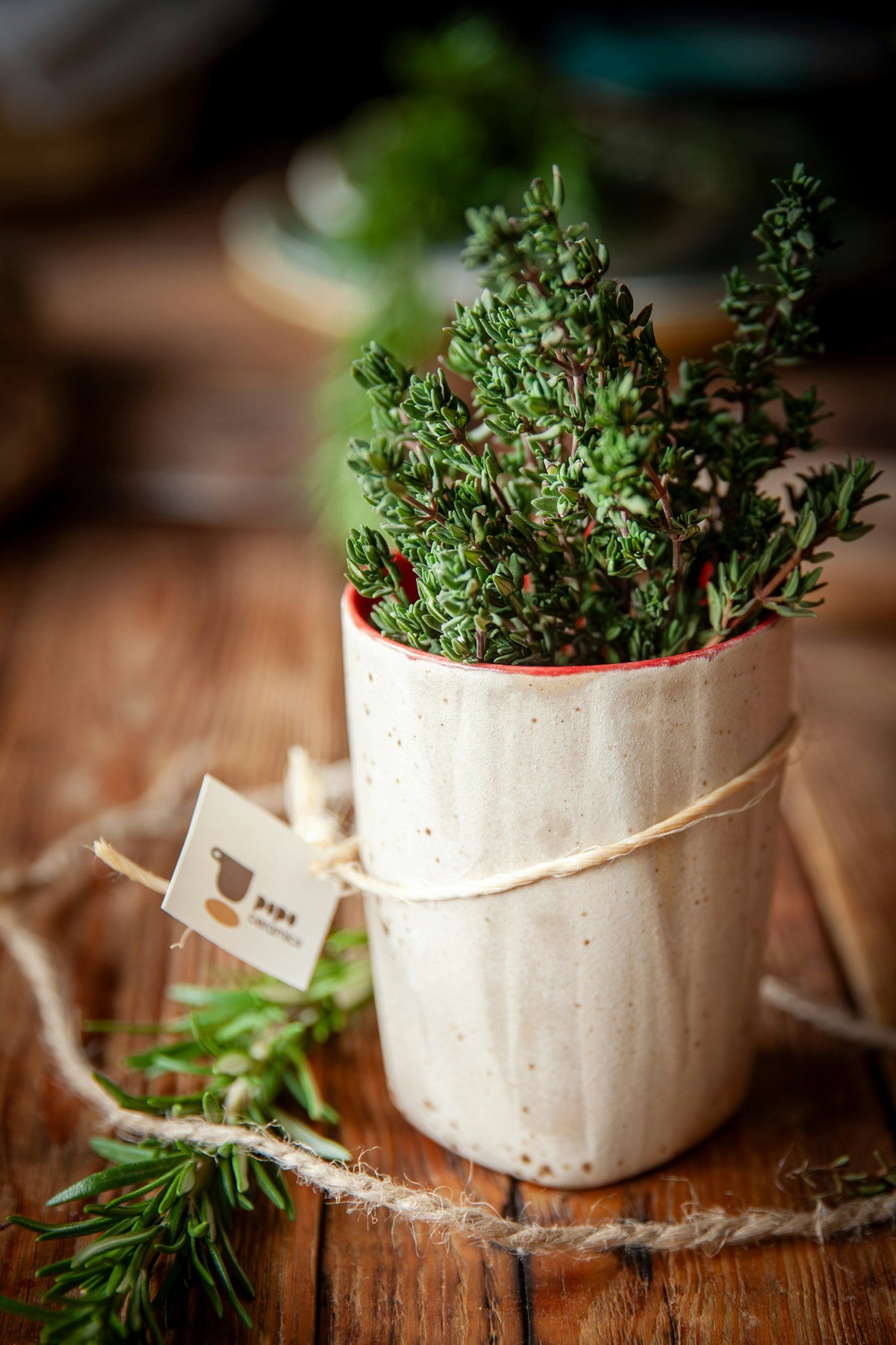 Thyme Herbs