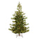 Christmas Tree 4