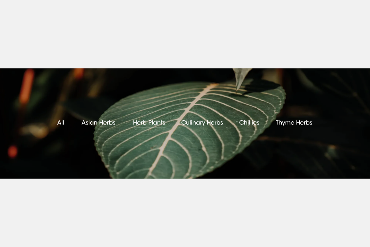 Collection slider #1