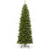 Christmas Tree 1