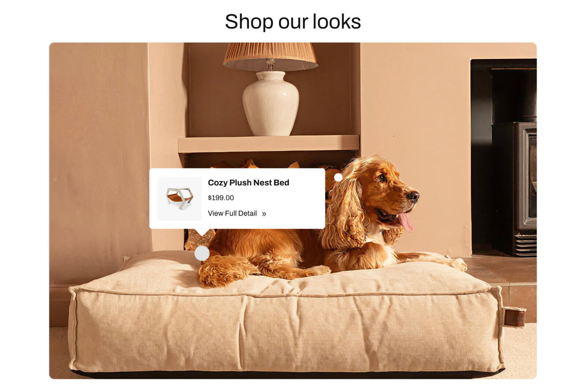 Shop the look 2