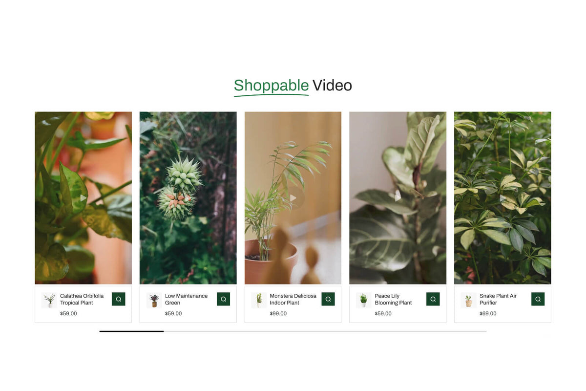 Shoppable Video 2